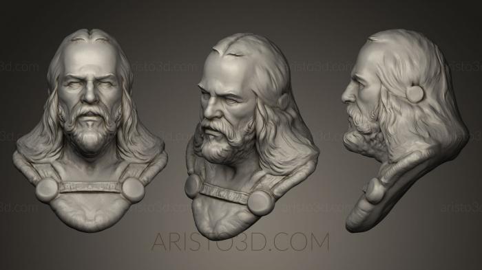 Busts and bas-reliefs of famous people (BUSTC_0636) 3D model for CNC machine